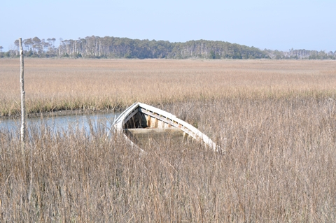 A Sunken Boat