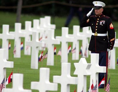 Marine saluting graves